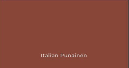 Virtasen_4_Oljyn_Maalin_varikarta-tehdassavy-italian-punainen